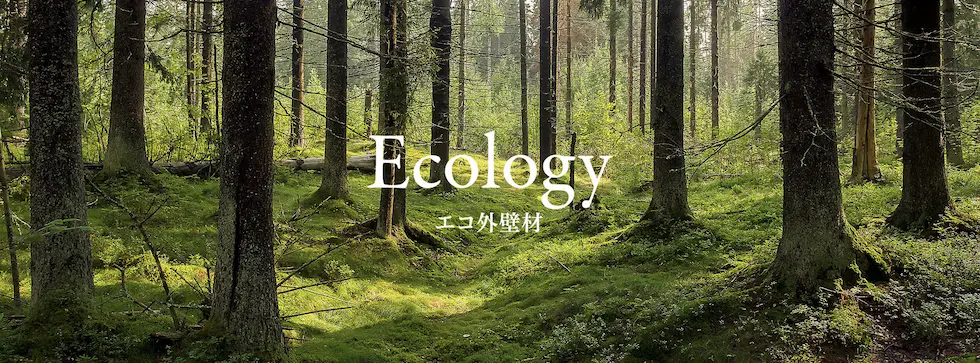 ecology_background.jpg