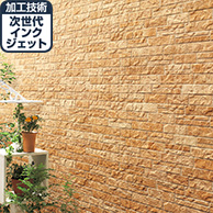 Fu-geラシュリーズGSプレミアム