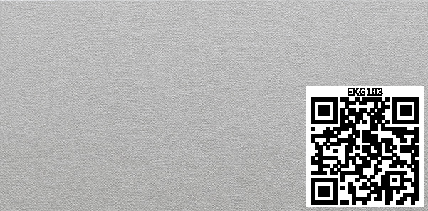 /ar/img/EKG103_qr.jpg