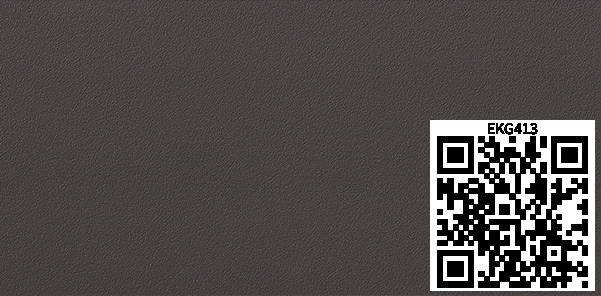 /ar/img/EKG413_qr.jpg
