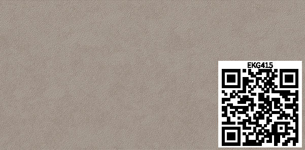 /ar/img/EKG415_qr.jpg