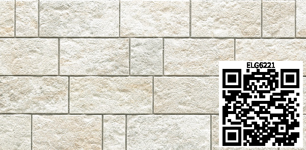 /ar/img/ELG6221_qr.jpg