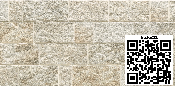 /ar/img/ELG6222_qr.jpg