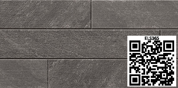/ar/img/ELS365_qr.jpg