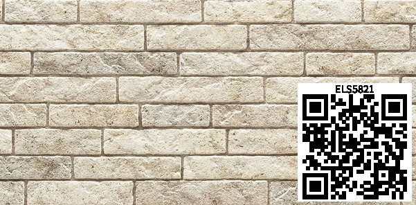 /ar/img/ELS5821_qr.jpg