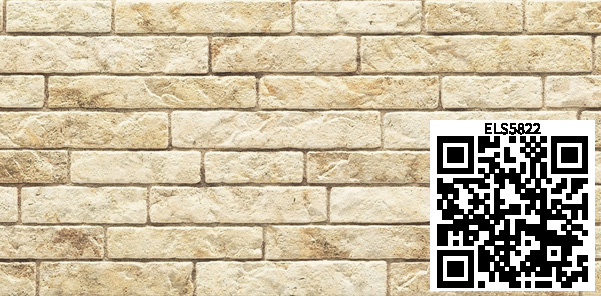 /ar/img/ELS5822_qr.jpg