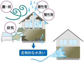 定期的な水洗い