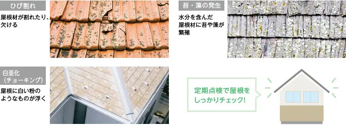 roof_reform_02.webp